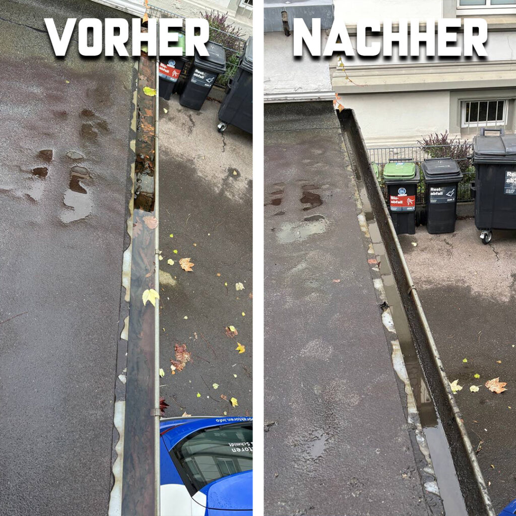 Dachrinnenreinigung in Dachrinnenreinigung in BraunschweigBraunschweig