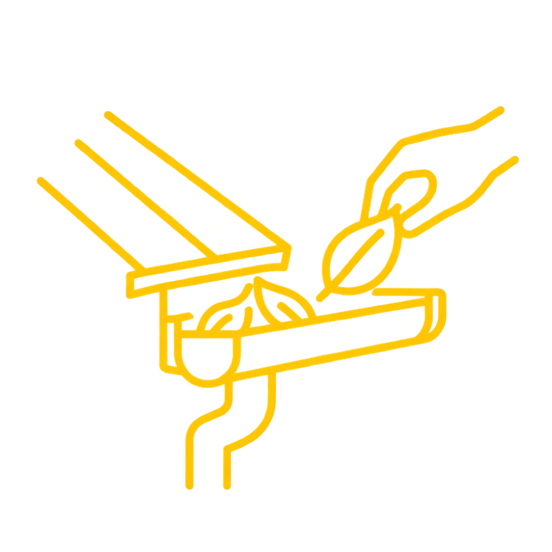 Dachrinnenreinigung