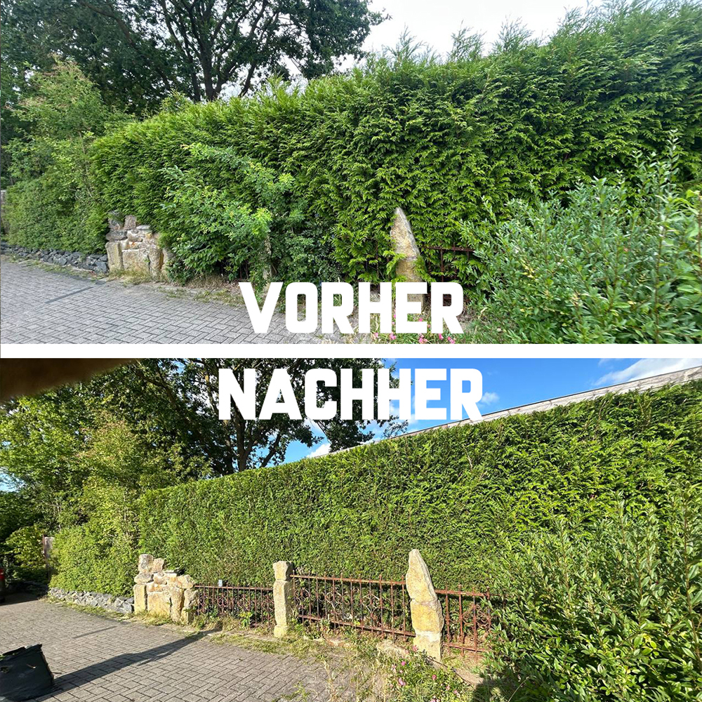 Grünflächenpflege – Rasen, Hecken, Sträucher und Beete
