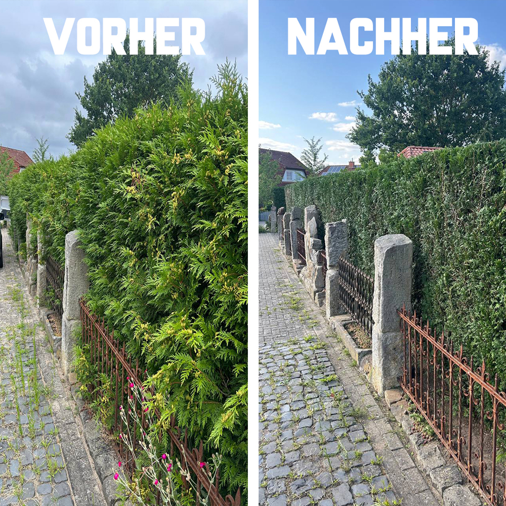 Pflege von Wegen, Höfen und befestigten Flächen